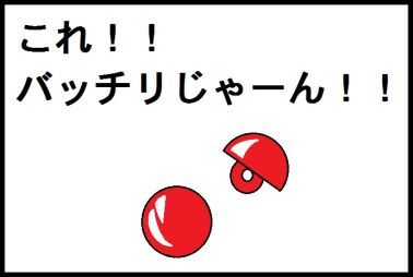 moroの家族と、ハンドメイドと。