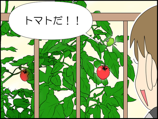 イラスト_011