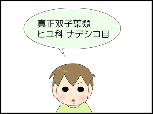 イラスト３