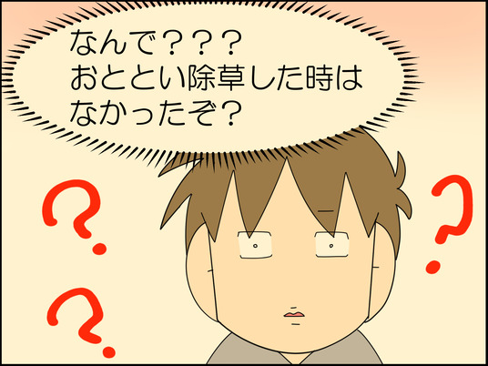 イラスト2_004