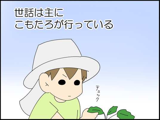 イラスト_006