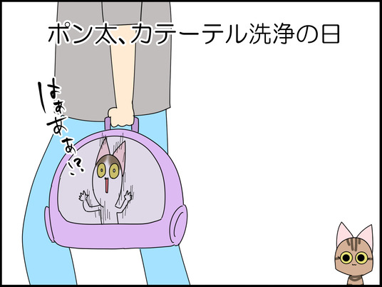 イラスト_001