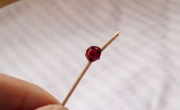 moroの家族と、ハンドメイドと。