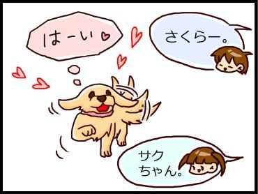 moroの家族と、ハンドメイドと。