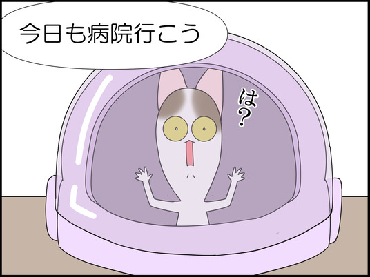 イラスト_022