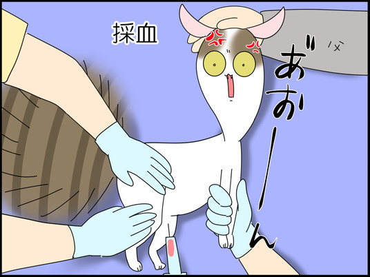 イラスト_047