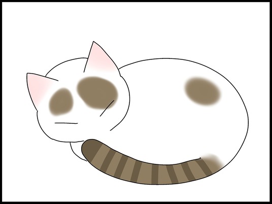 ブログ0000