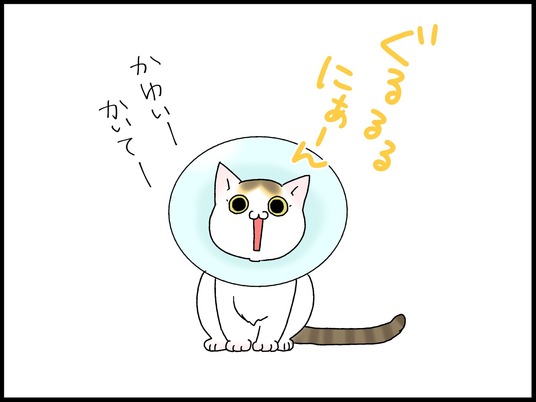 ブログ0003