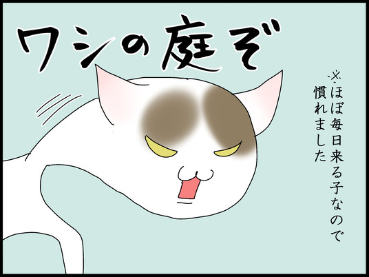 ブログ0006