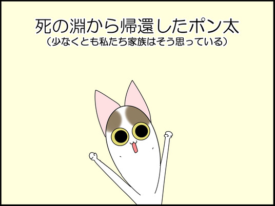 イラスト_001