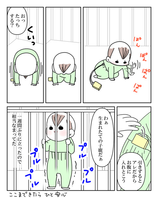 イラスト_042