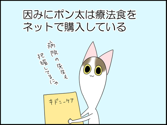 イラスト_004