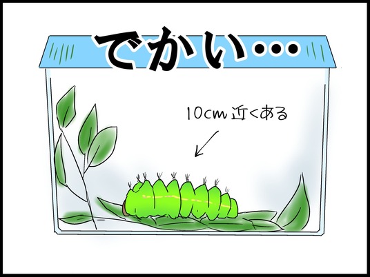 ブログ0004