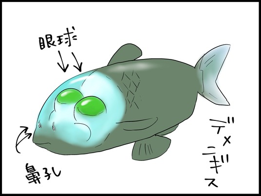 ブログ0002