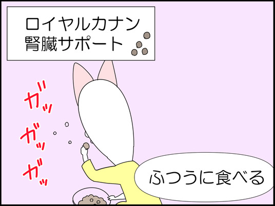 イラスト_025