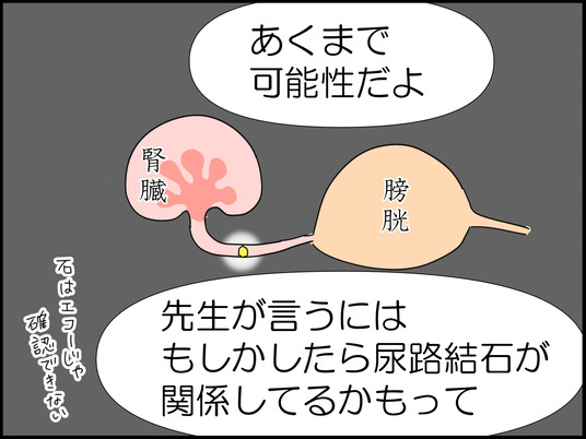 イラスト_029