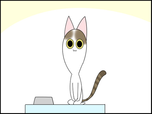 イラスト_005