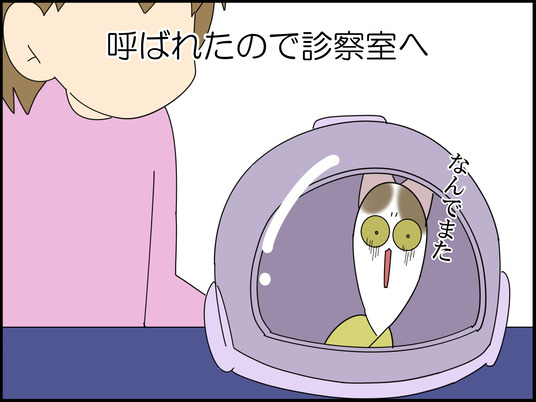 イラスト_001