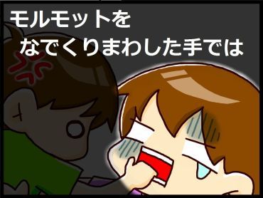 moroの家族と、ハンドメイドと。