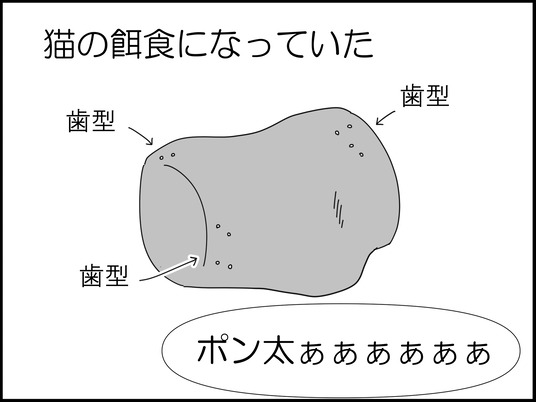 イラスト_002
