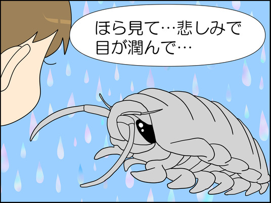 イラスト_010