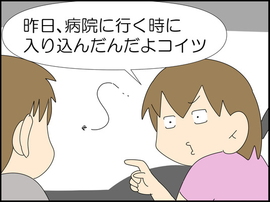 イラスト_006