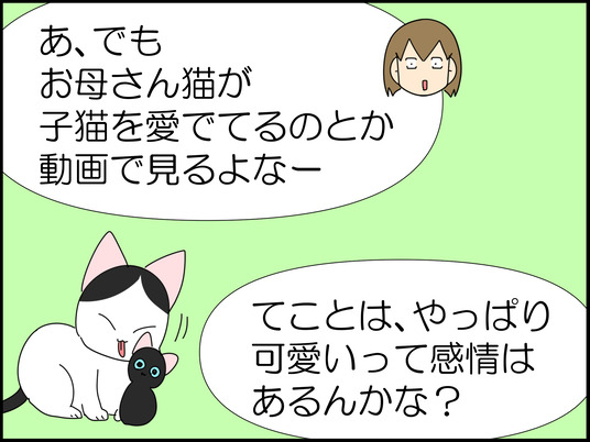 イラスト_007