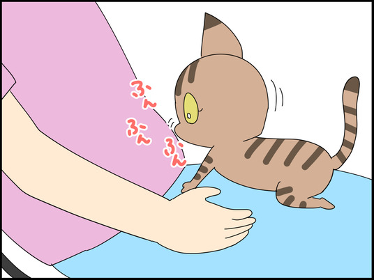 イラスト_004