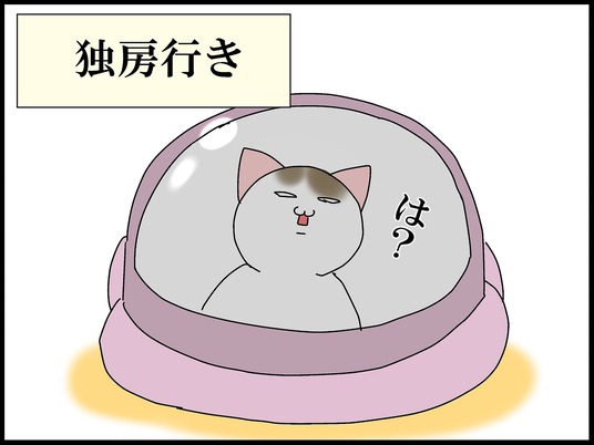 ブログ0010