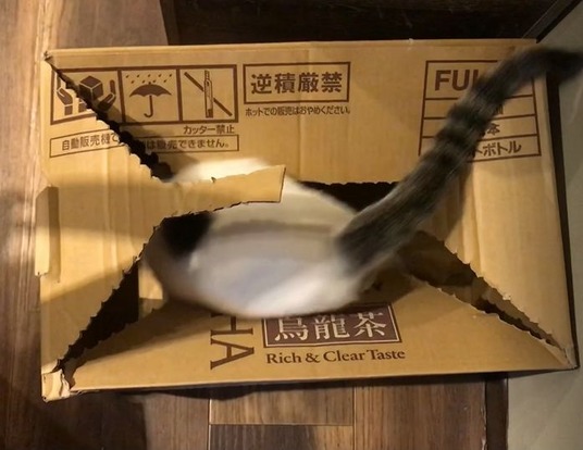 0_