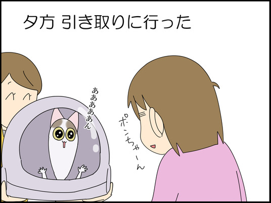 イラスト_059