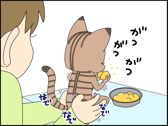 イラスト_008