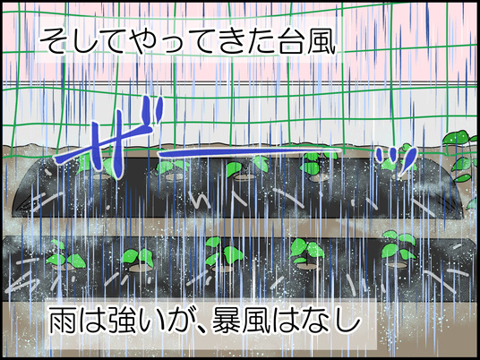 イラスト_006