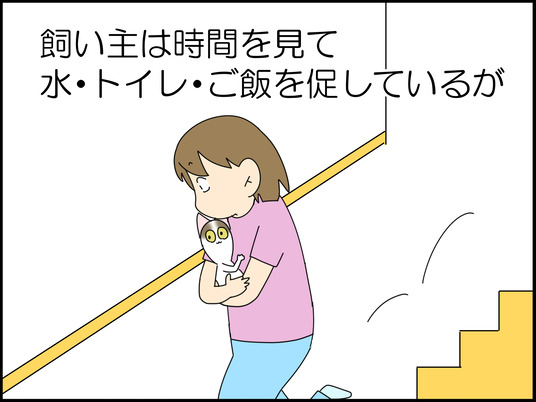 イラスト_002