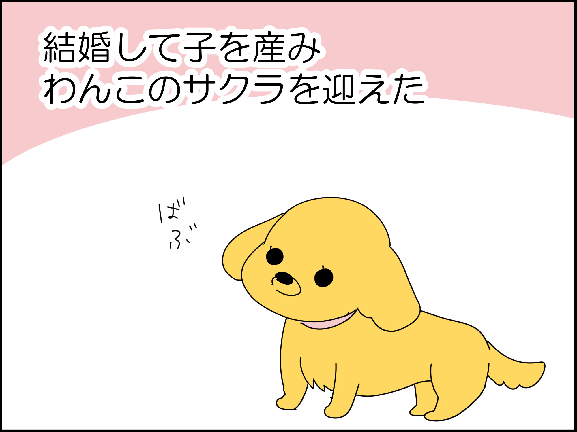 ❌無言の購入❌さとぅまなぶ@猫アレルギー様 リクエスト 3点 まとめ 