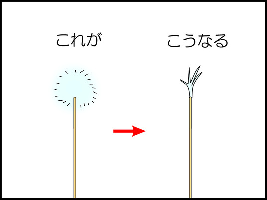ブログ0002