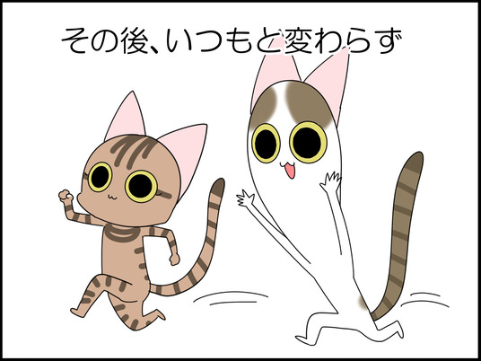 イラスト_004