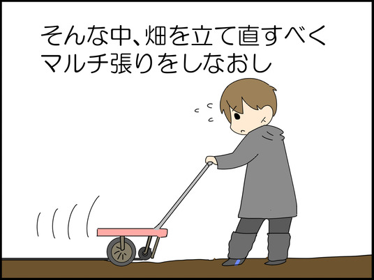 イラスト_005