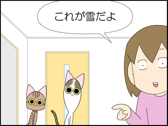 イラスト_004