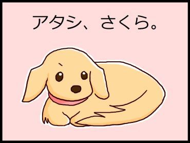 moroの家族と、ハンドメイドと。