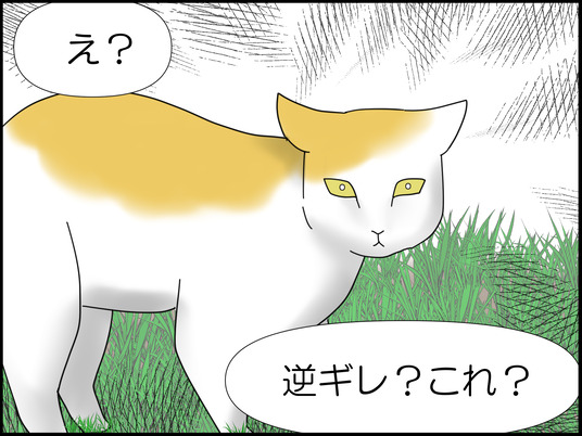 イラスト_009