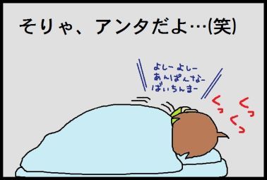 moroの家族と、ハンドメイドと。