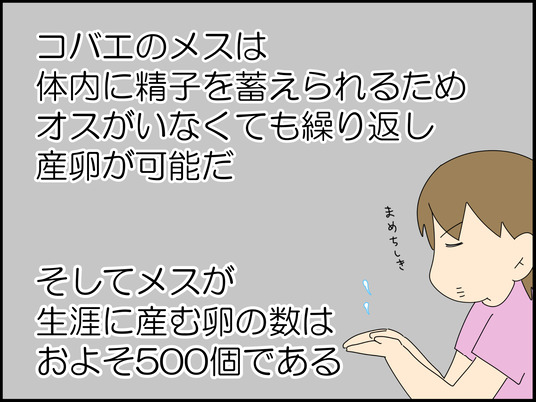 イラスト_010