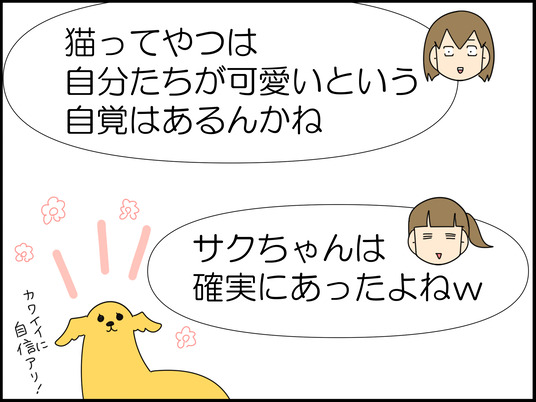 イラスト_003
