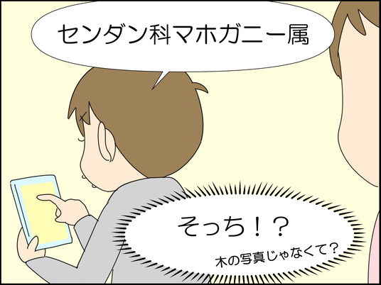 イラスト_013