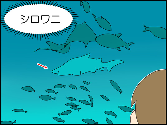 イラスト_005