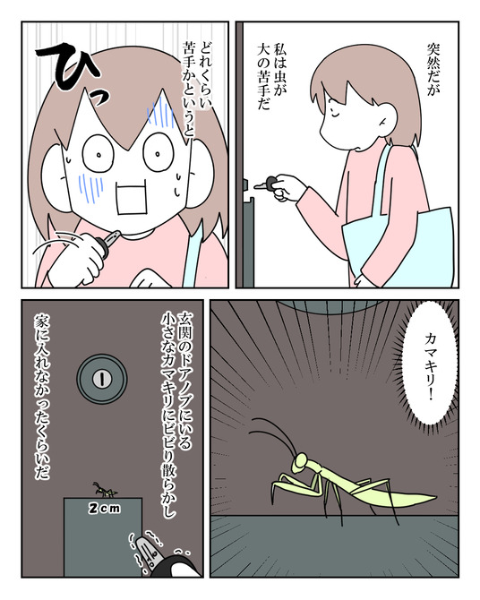 イラスト_004