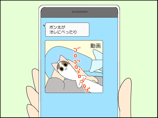イラスト_025