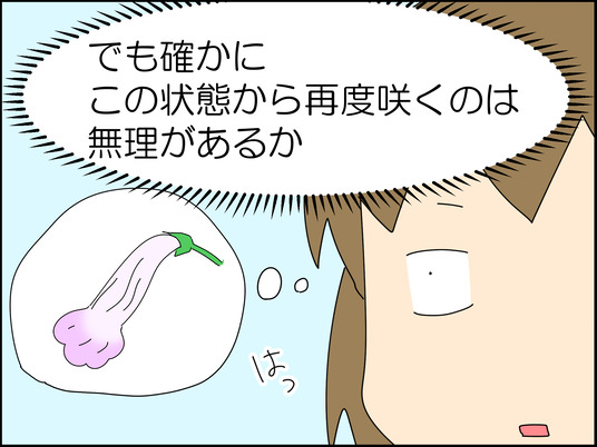 イラスト2_007