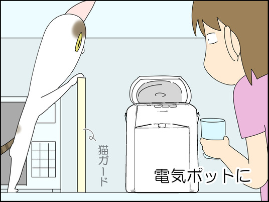 イラスト_004
